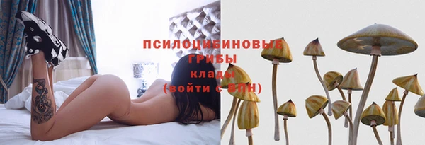 гашиш Новодвинск