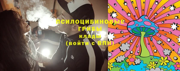 МДПВ Новокубанск