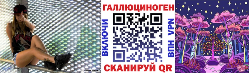 Галлюциногенные грибы Psilocybine cubensis Россошь