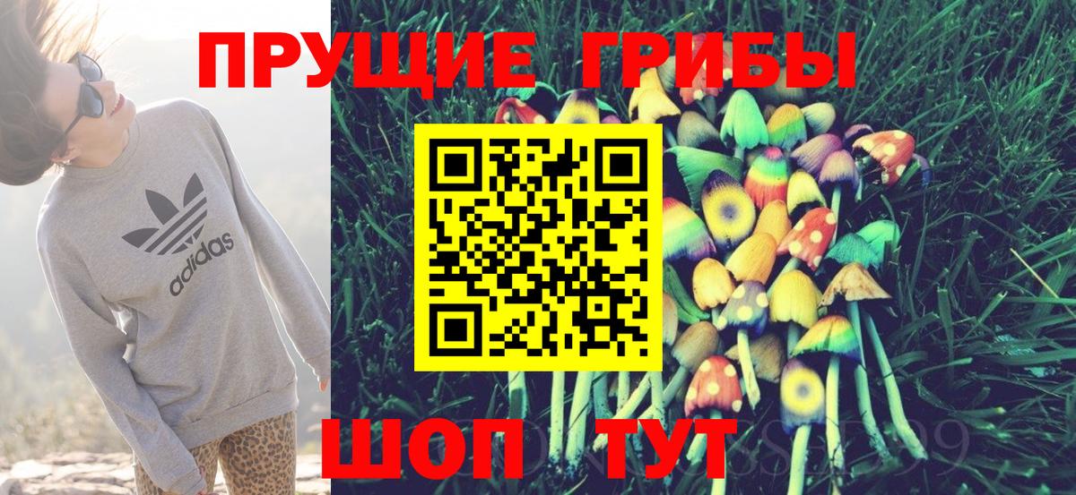 Галлюциногенные грибы мицелий  Псилоцибиновые грибы ЛСД  Россошь  Вход с VPN 