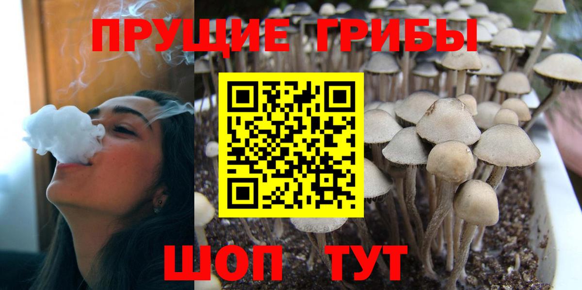 Галлюциногенные грибы мухоморы Россошь