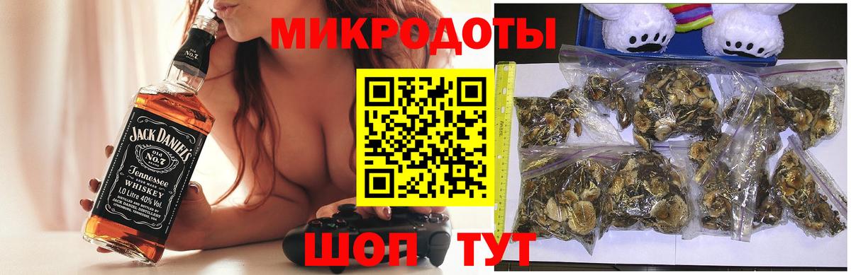 Псилоцибиновые грибы Cubensis  Россошь  Галлюциногенные грибы Psilocybe 