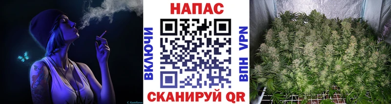 МАРИХУАНА OG Kush  ссылка на мегу ТОР  Россошь 